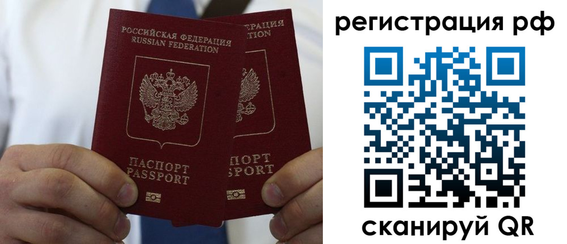 прописка для школы в Электрогорске